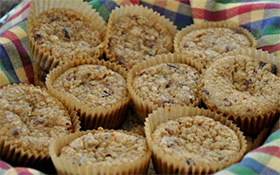 cranberry quinoa mini muffins